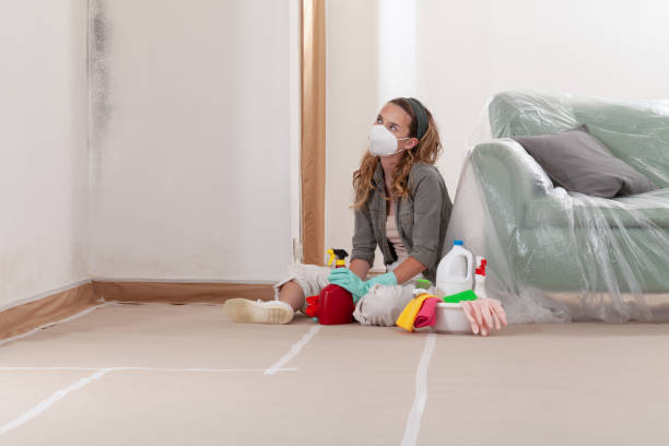 Reliable Mold Cleanup contractor in Ferndale, PA by WQB Mold Removal